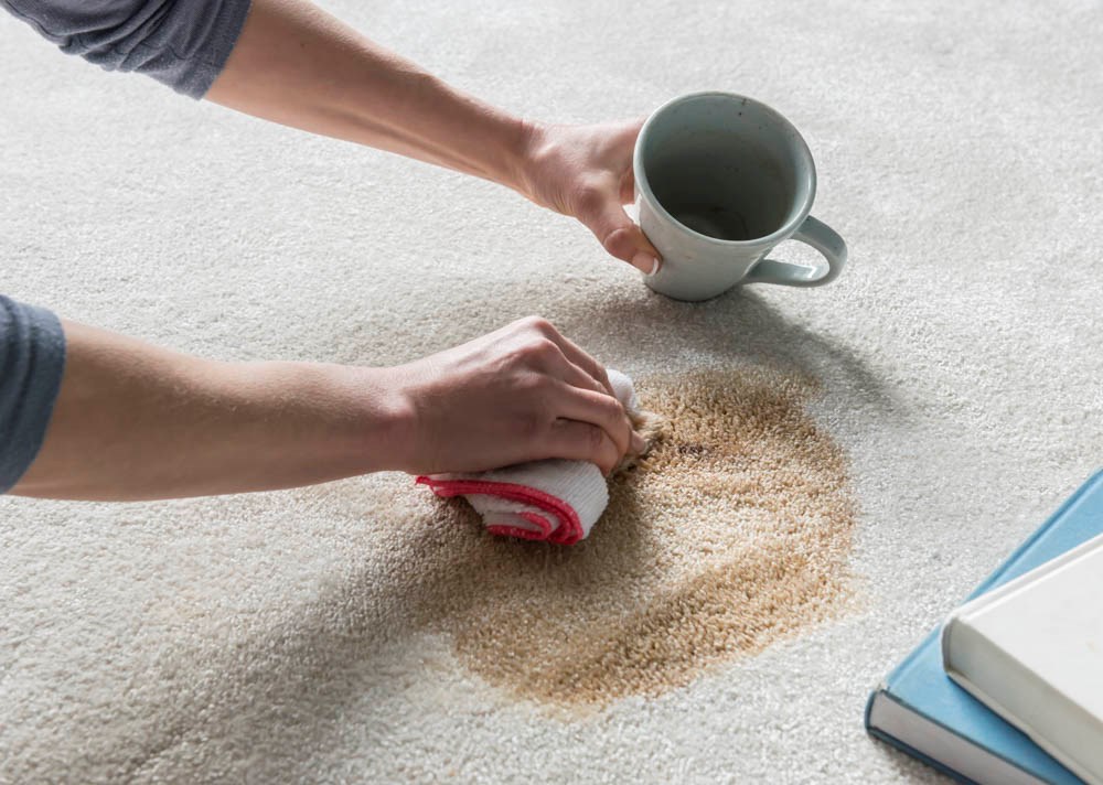 How to Clean Carpet Stains & Spills Cormar Carpets