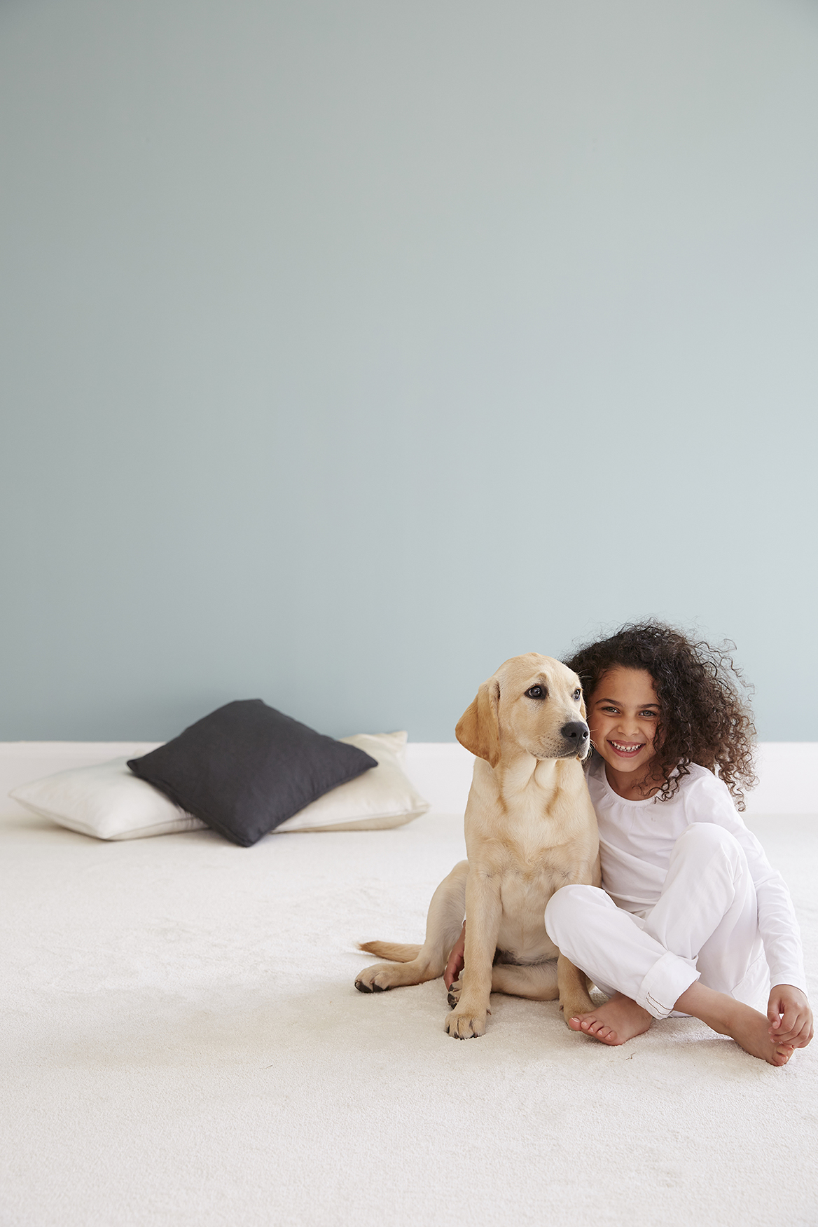 Explore Stylish Pet & Family Friendly Carpets Cormar Carpets