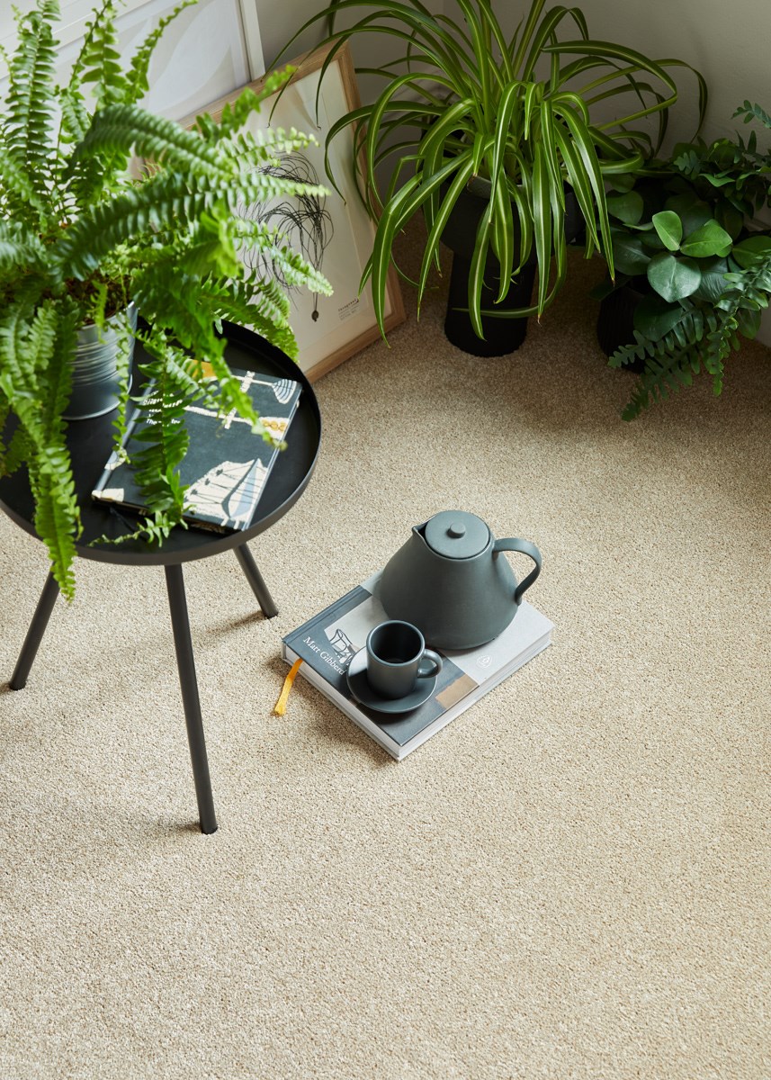 Trinity Marshmallow (Easy Clean) Cormar Carpets